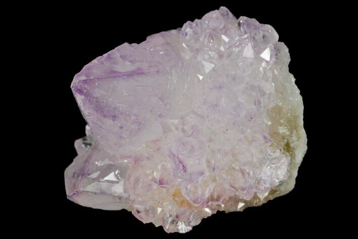 Cactus Quartz (Amethyst) Crystal Cluster - South Africa #132465